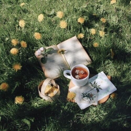 00 (2).jpg