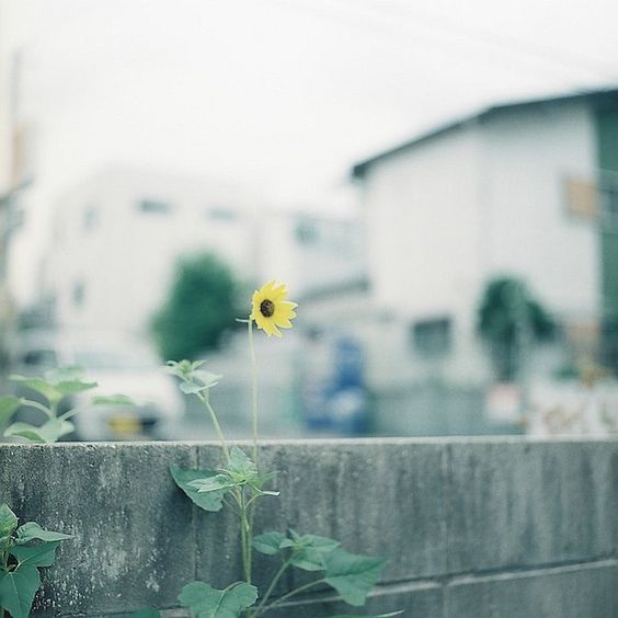 01 (10).jpg