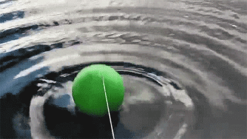 01.gif