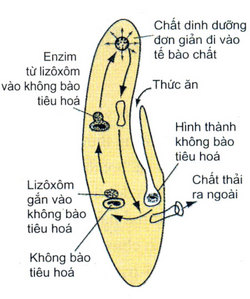 01.jpg