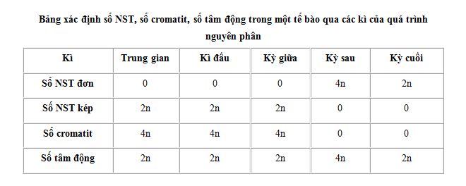 01.JPG