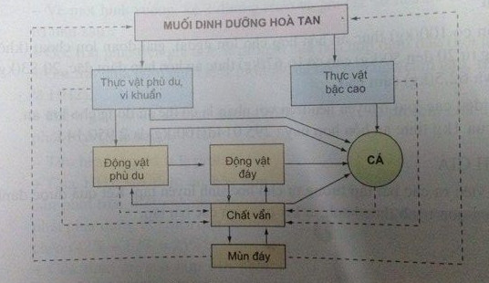 01.jpg