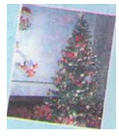01.jpg