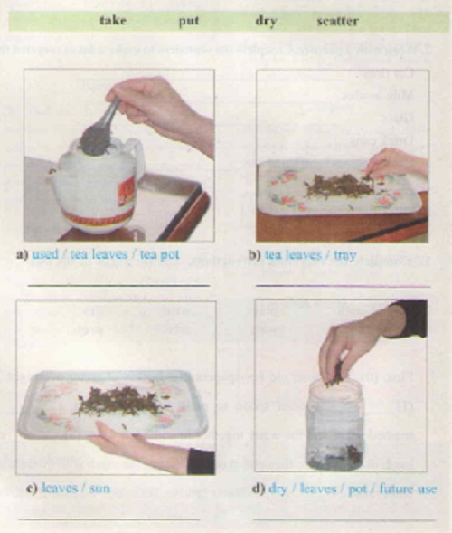 01.jpg
