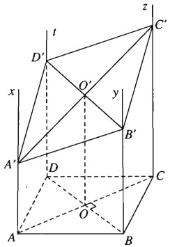 01.jpg