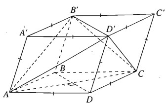 01.jpg