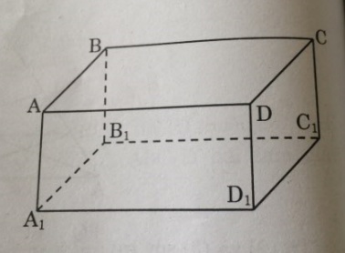 01.jpg