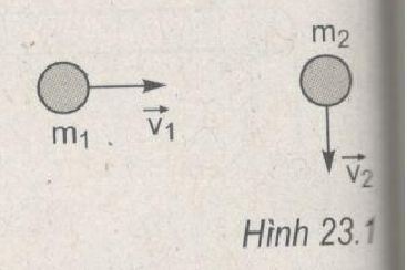 01.JPG