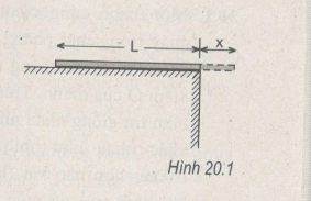 01.JPG