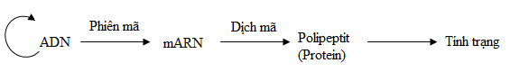01.png