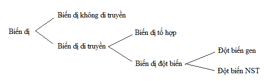01.png
