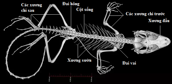 01.png