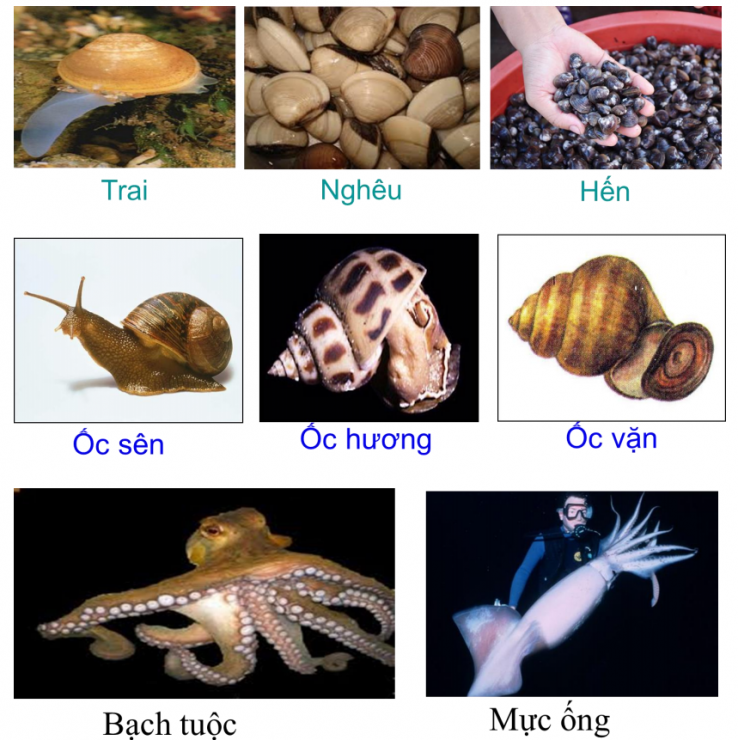 01.png