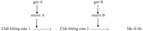 01.png