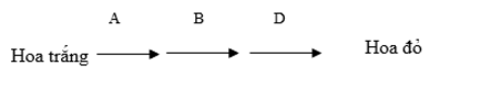 01.PNG