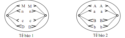 01.png