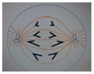 01.png