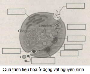 01.png