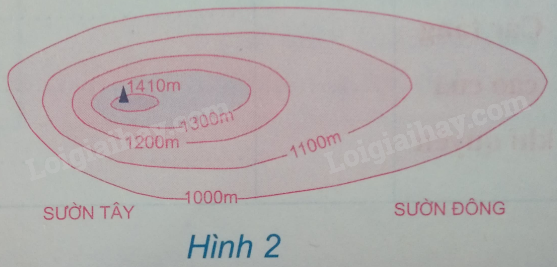 01.png