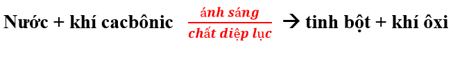 01.png