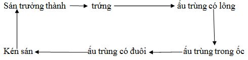 01.png