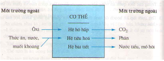 01.png