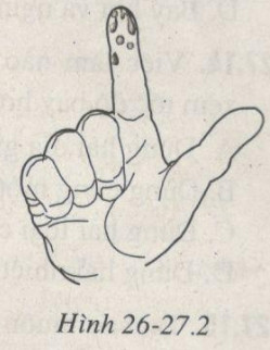 02.jpg