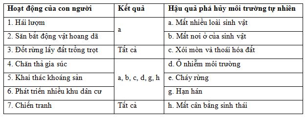 02.JPG