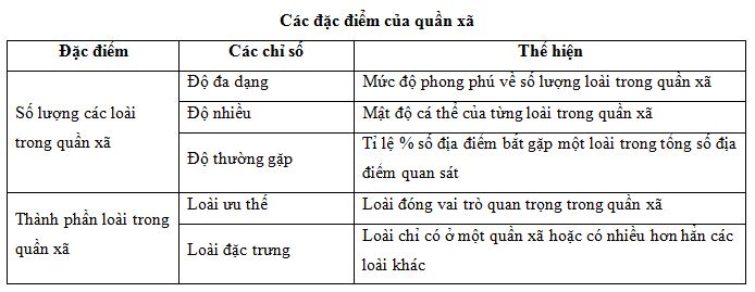 02.JPG