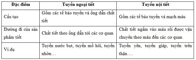 02.JPG