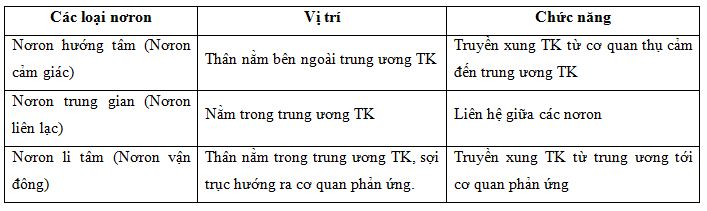 02.JPG