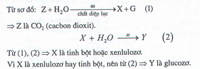 02.jpg