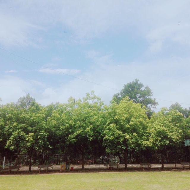 02.jpg