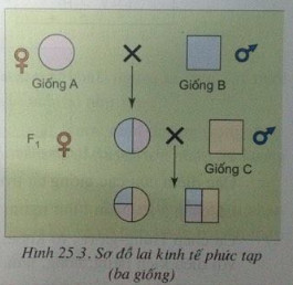 02.jpg