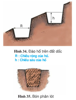 02.jpg