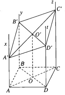 02.jpg