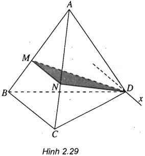 02.jpg