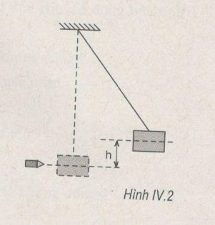 02.JPG