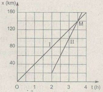 02.JPG