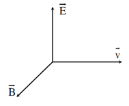 02.PNG