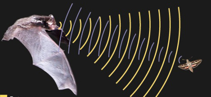 02.png