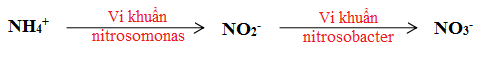 02.png