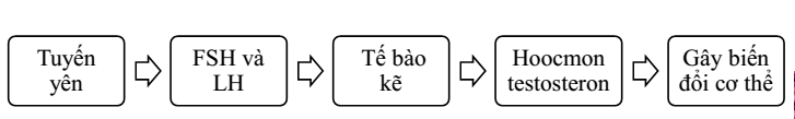 02.png