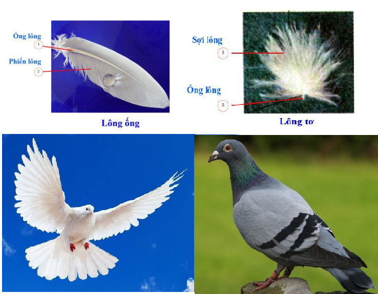 02.png