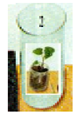 02.PNG