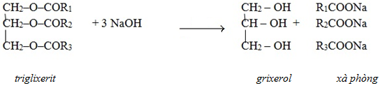 02.png