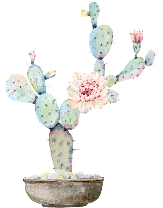 02.png