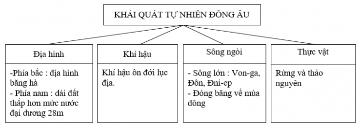 02.png