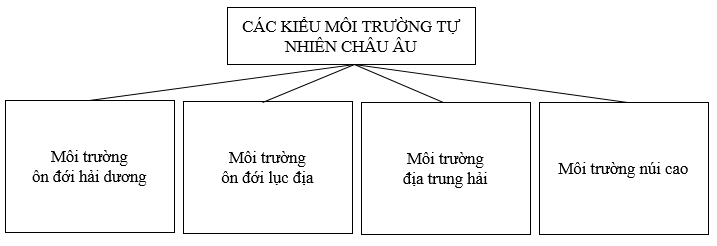 02.png