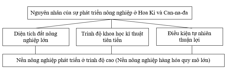 02.png
